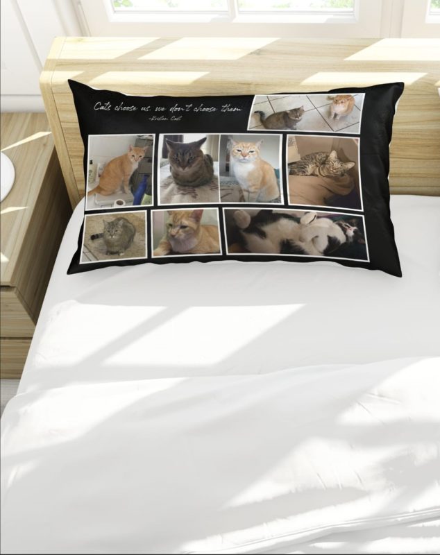 Custom Scatter Cushions/ Pillowcases/ bababoo.co.za